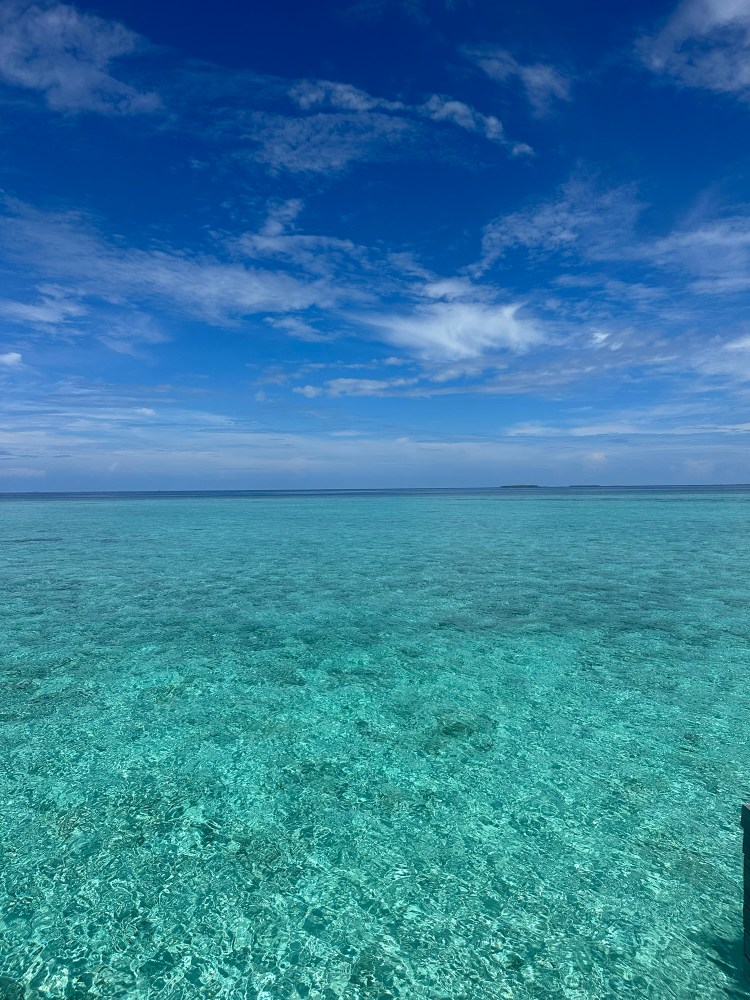 Maldives island view from ocean pool villa